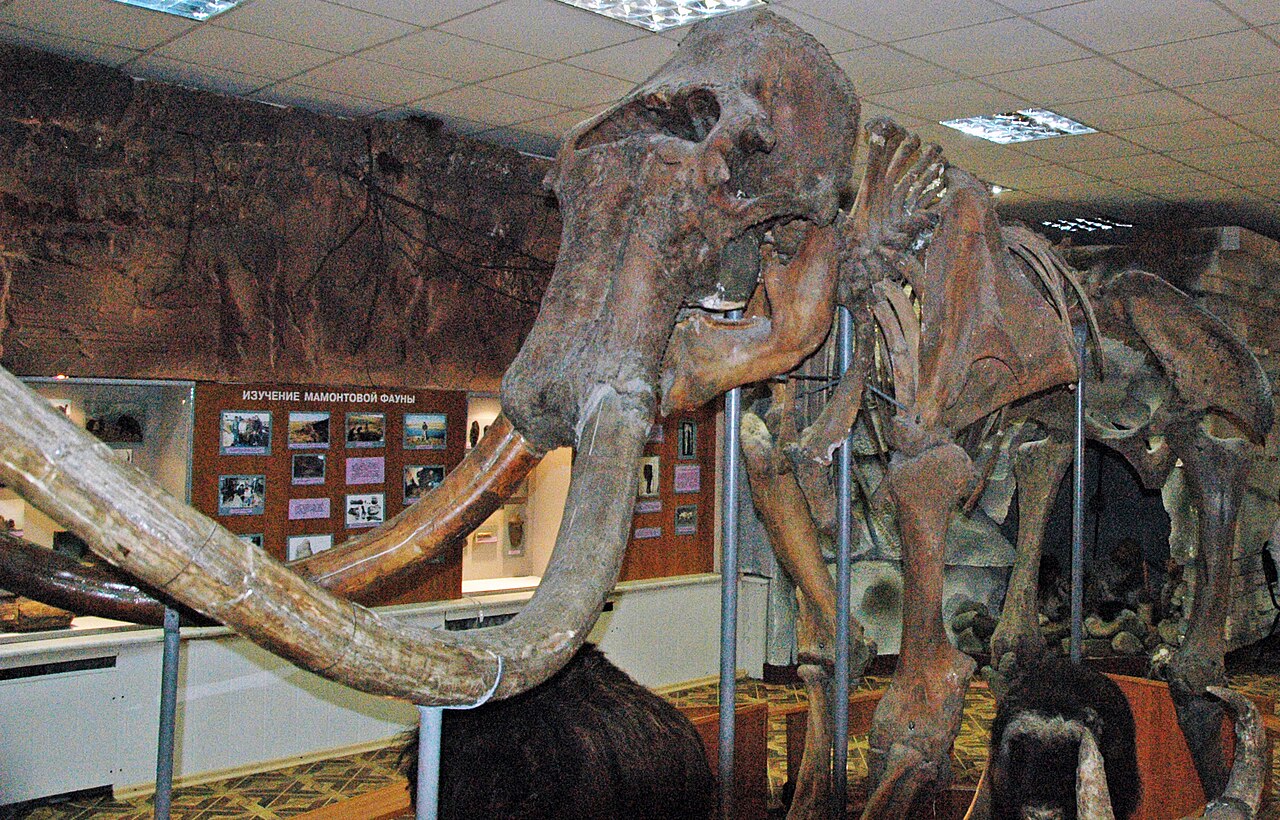 Woolly mammoth