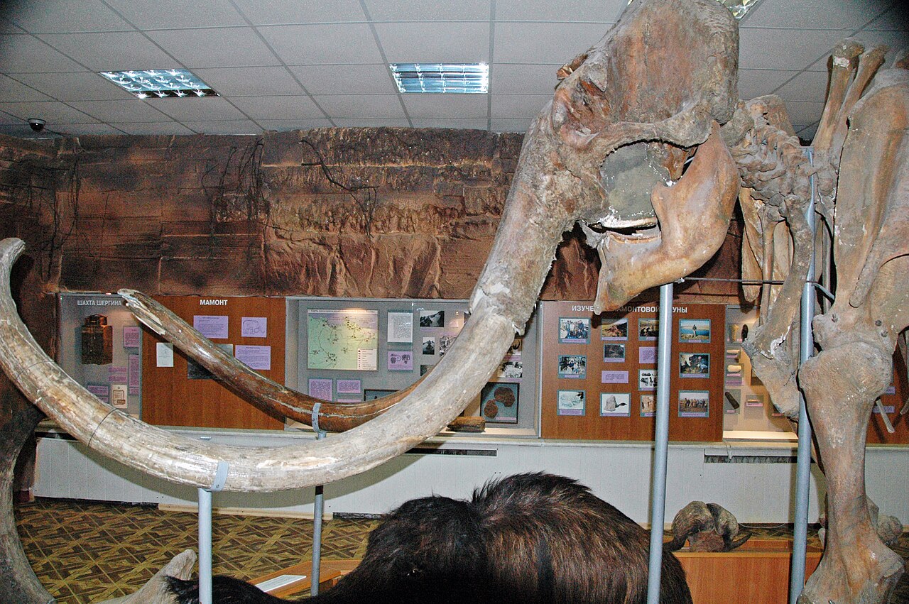 Woolly mammoth