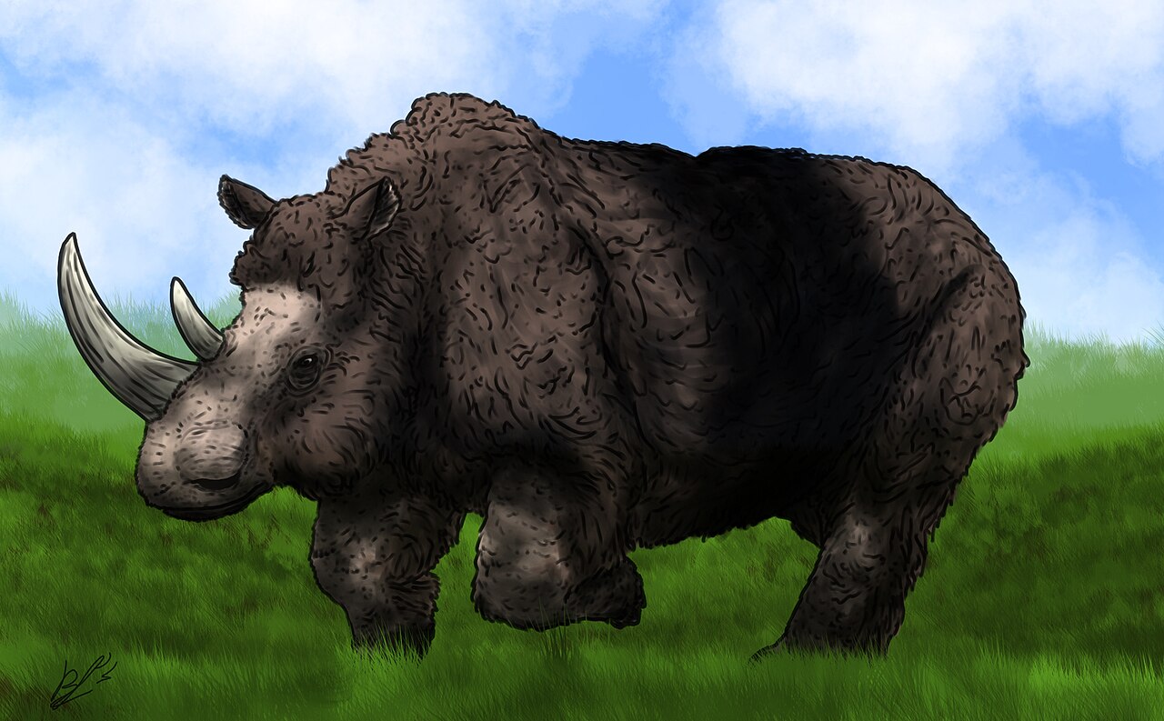 Woolly rhinoceros