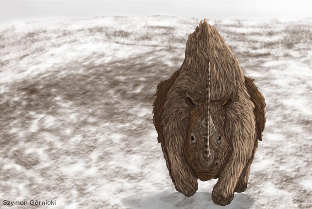 Woolly rhinoceros