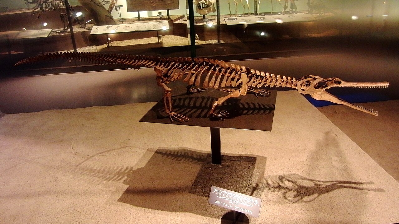 Champsosaurus