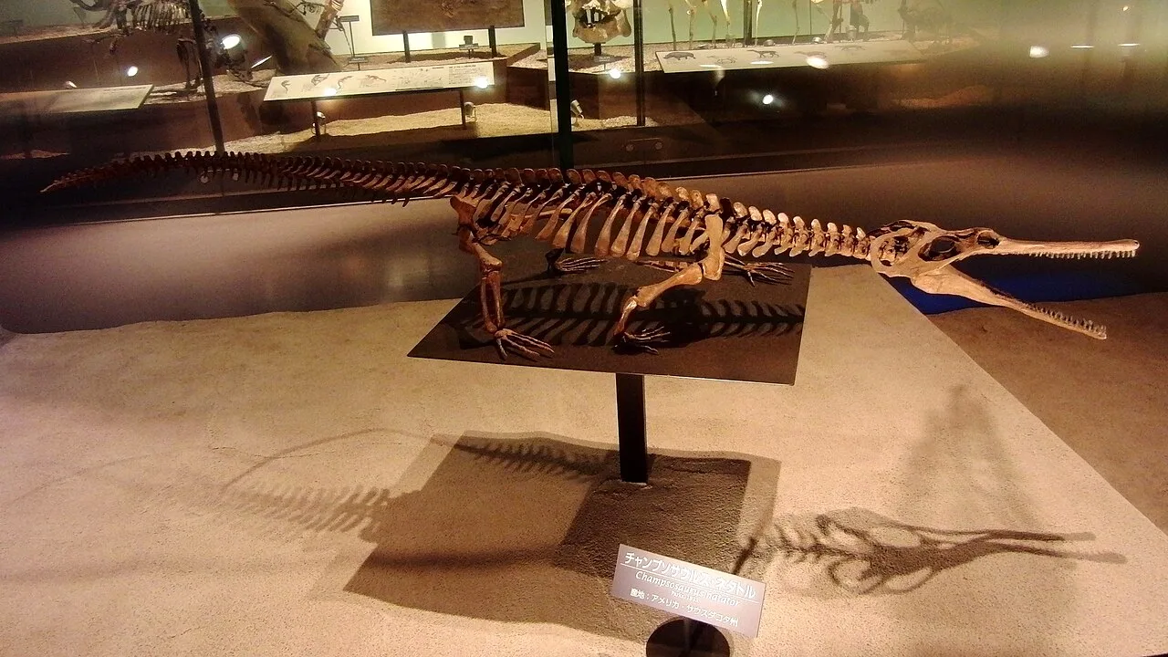 Champsosaurus